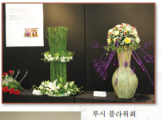 cf635c7a4a40303632bfd4192d6d30d5_1465145