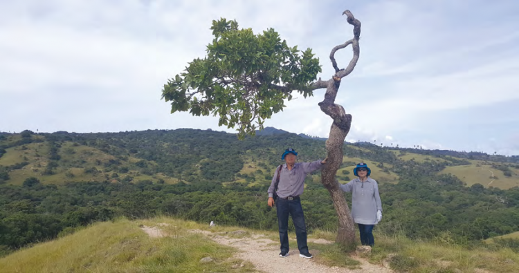 2274e80612ade830ba515cedf5f78b7a_1496322