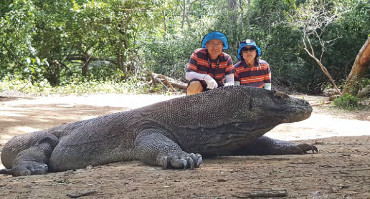 2274e80612ade830ba515cedf5f78b7a_1496322