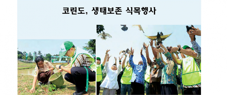 01317eec7edc8941cf28125dd63acab1_1499822